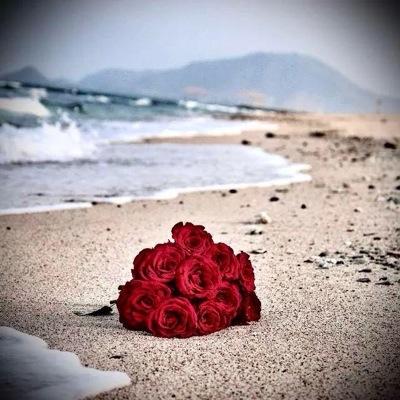 Sultanate of Oman 