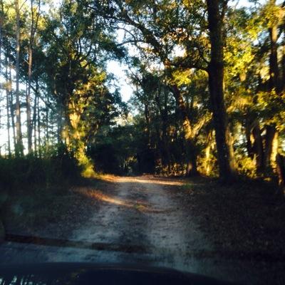 pauljonlayne's profile picture. 