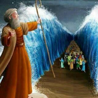 Apostolic Revelation Church☎fax 0866283481☎cell 0726023199☎0781599638