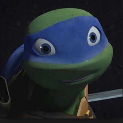 Hey im leonardo but you can call me leo. i live with my 3 brothers. @D0natell0Hamat0, @MikeyTmnt09, and @TMNTraphaelll. Taken by @teetee0154