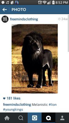 Janero_23's profile picture. I'm the future✩✩✩✩✩ ✡the leader✡ ♗the dream♗ ✽All is Well✽ follow me