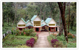 allenscottage's profile picture. Allens Cottage is a leading cottage/accomodation in munnar. mail @ allenscottages@gmail.com Contact : +919745439977,+919747268095