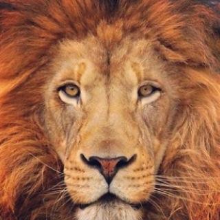 Seguir a JESÚS es la mejor decisión de mi vida!!! ッ