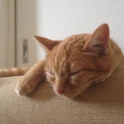 皆さん、はじめまして！未年のミントです。今年のお正月は例年にない大雪⛄️からの始まりです。よい年にしていきましょう❗️