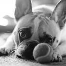 werneralthaus18's profile picture. 