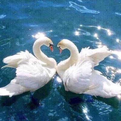 mahdyi14's profile picture. 