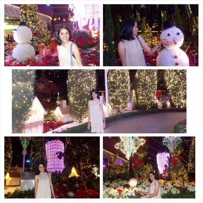 risti1660's profile picture. 