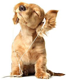 i2ee's profile picture. 苹果半控、摄影半控、游戏半控、旅行想控，不喜被控但始终受控，总之太多想控但始终失控～