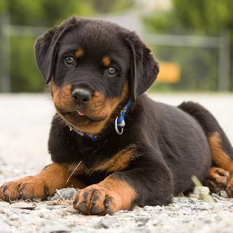 XezerDeniz57's profile picture. 