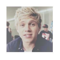 niall horan enthusiast