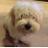 turnercatherine's profile image