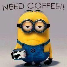 gavlareene's profile picture. 