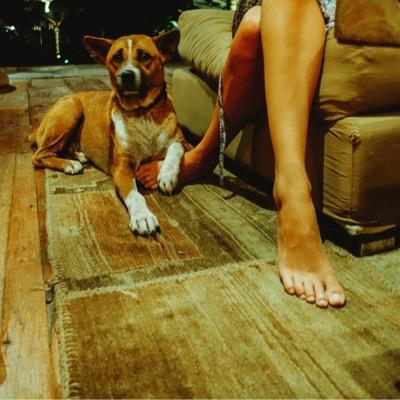 LorlZaldy's profile picture. 