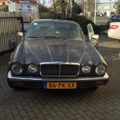 loyepie's profile picture. 