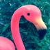 Heidi Seltmann (@heidiseltmann) Twitter profile photo