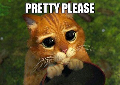 frangi_v's profile picture. 