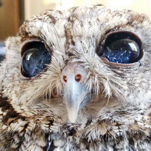 Imrobot12345's profile picture. 