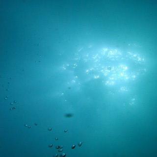 ZenVocaloid's profile picture. ボカロ用アカウントでしたが、ただ今活動休止中の為、たまに食のツイートをしますw