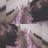 Jpg_alya's profile image