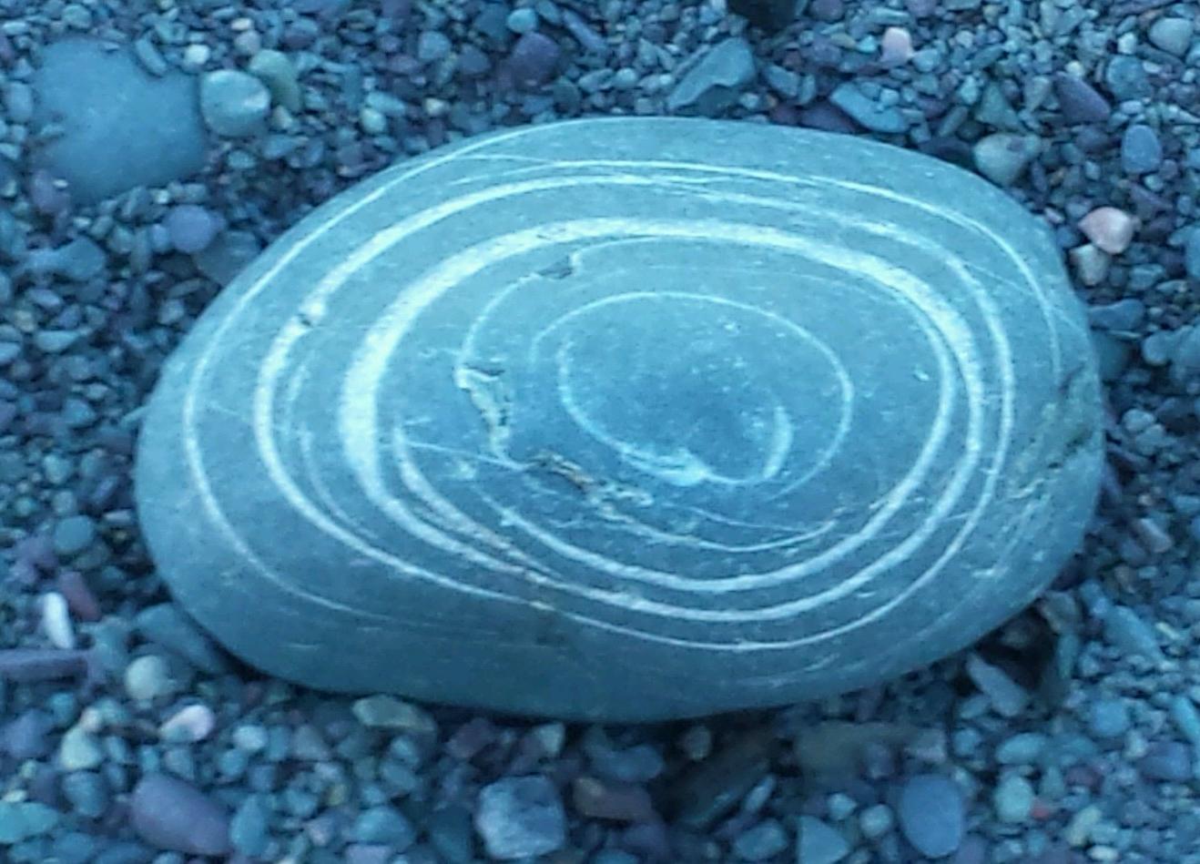 k1p1psso's profile picture. Owner of Spindrift