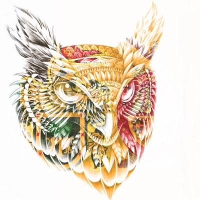 El_BUHO_De_CDJ's profile picture. Juego Gtav y si quieren jugar comigo mi PSN es Uribe_530