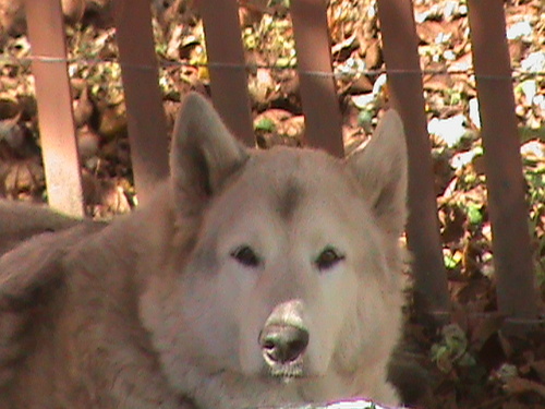 rmwolf1's profile picture. 