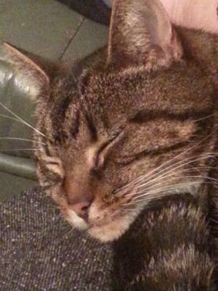 DrakeJacky's profile picture. 