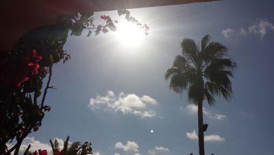 HOUYADA1's profile picture. 