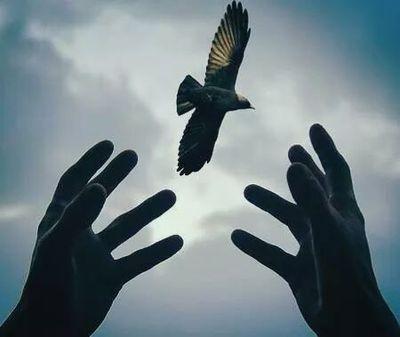 lullalala's profile picture. 