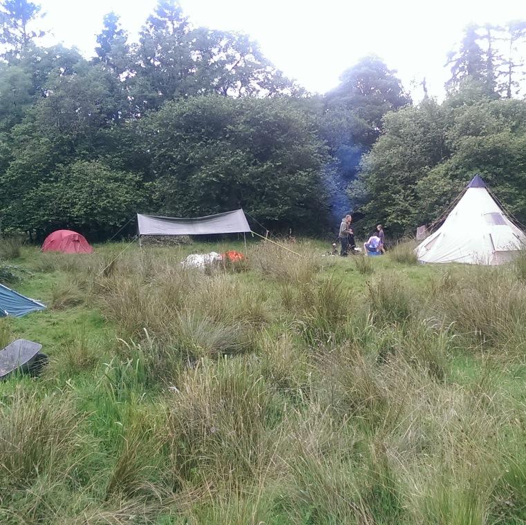 #Retreat #Reconnection #Recovery #Reconciliation #Rewilding - in Nature