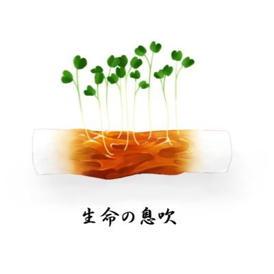 レバにらさんのプロフィール画像