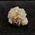 Kidney Stones Fix (@kidneystonesfix) Twitter profile photo Kidney Stones Fix (@kidneystonesfix) Twitter profile photo