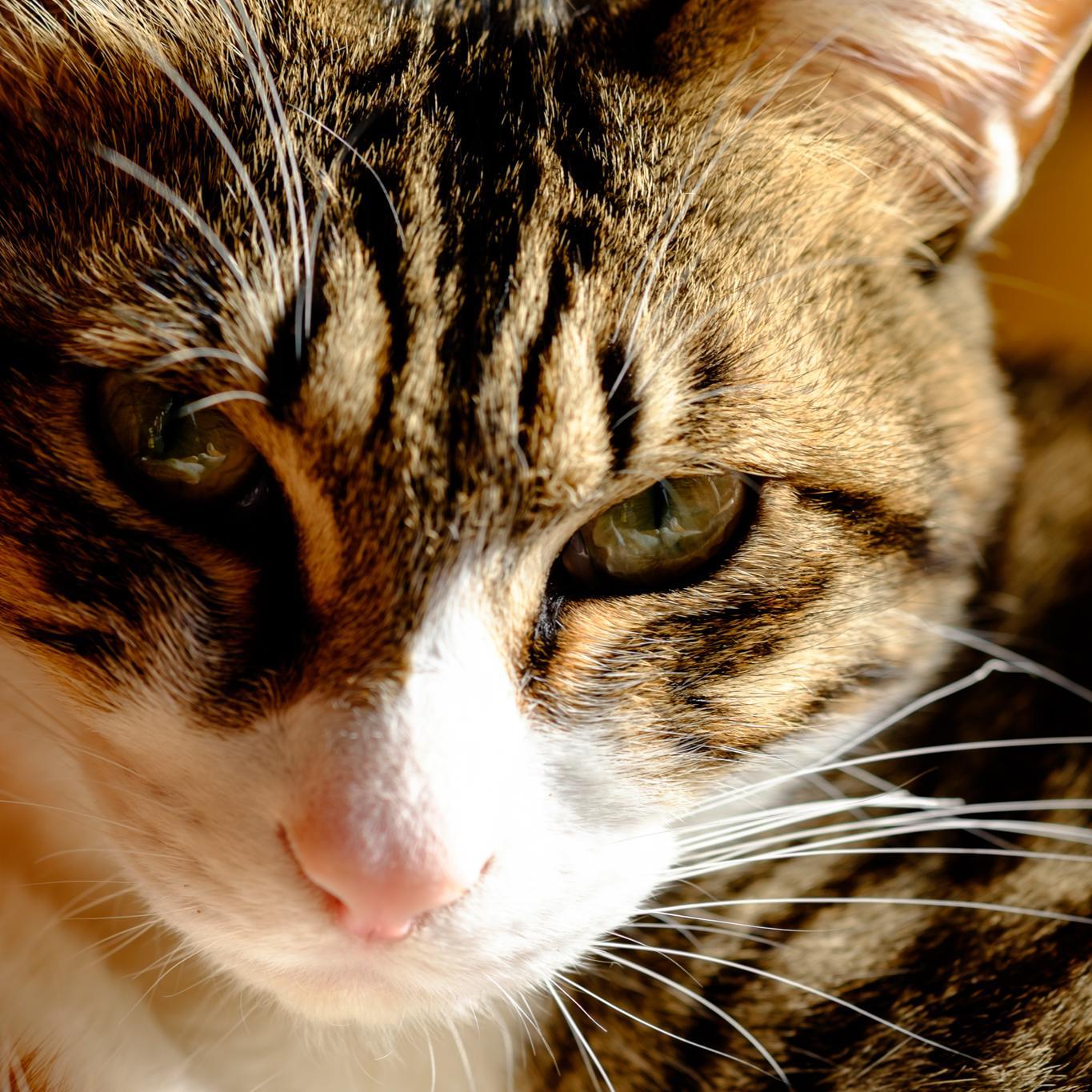 lugh0626 Profile Picture