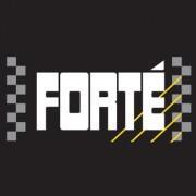 Forte products are THE market leading, trade only contamination removal products on the market. Clean engines perform better FACT!