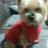83d9b3abef48435's profile image