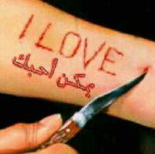 mostafa1791's profile picture. 