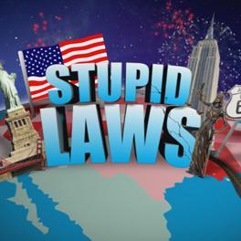 Big Government. Small Brains. Dumb Laws. Contact at twitterbusiness007@gmail.com