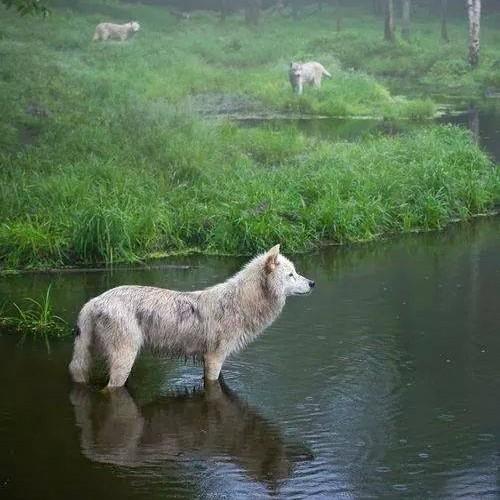 KimMagennis's profile picture. I am an Accountant and a Writer, but only alphabetically. My fields are Small Business Management, Administration, Copywriting and Speculative Fiction.