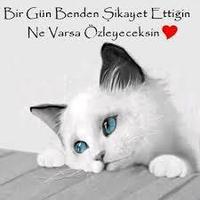 sevilay kaya (@sevilaytugce585) 's Twitter Profile