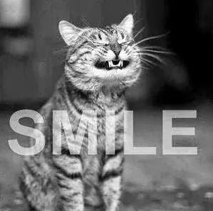 watittastelike's profile picture. 