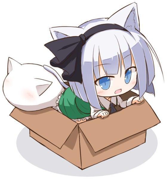 100％フォローします！w気軽に絡んできてー！