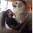 andrea_pansa's profile image