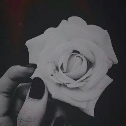 ‏‏‏‏‏‏‏بني ادمة عايشة من 15 سنة .. مزاجية .. حساسة.. عفوية .. اعشق القهوة