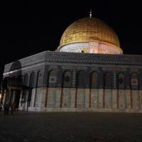 kadir Kaya  (@ananassavar) Twitter profile photo