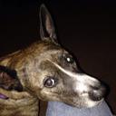 Scott Matney - @MatneyScott - Twitter