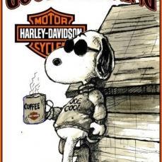 HarleyProner's profile picture. I am who I am .. Disabled War Veteran (USMC) ... Biker... Amateur Genealogist.