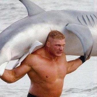 kaldirilmali's profile picture. 