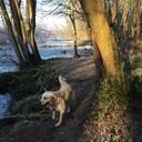 Mary Jackman - @MaryJackman4 - Twitter