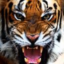 kent fay - @KentFay - Twitter