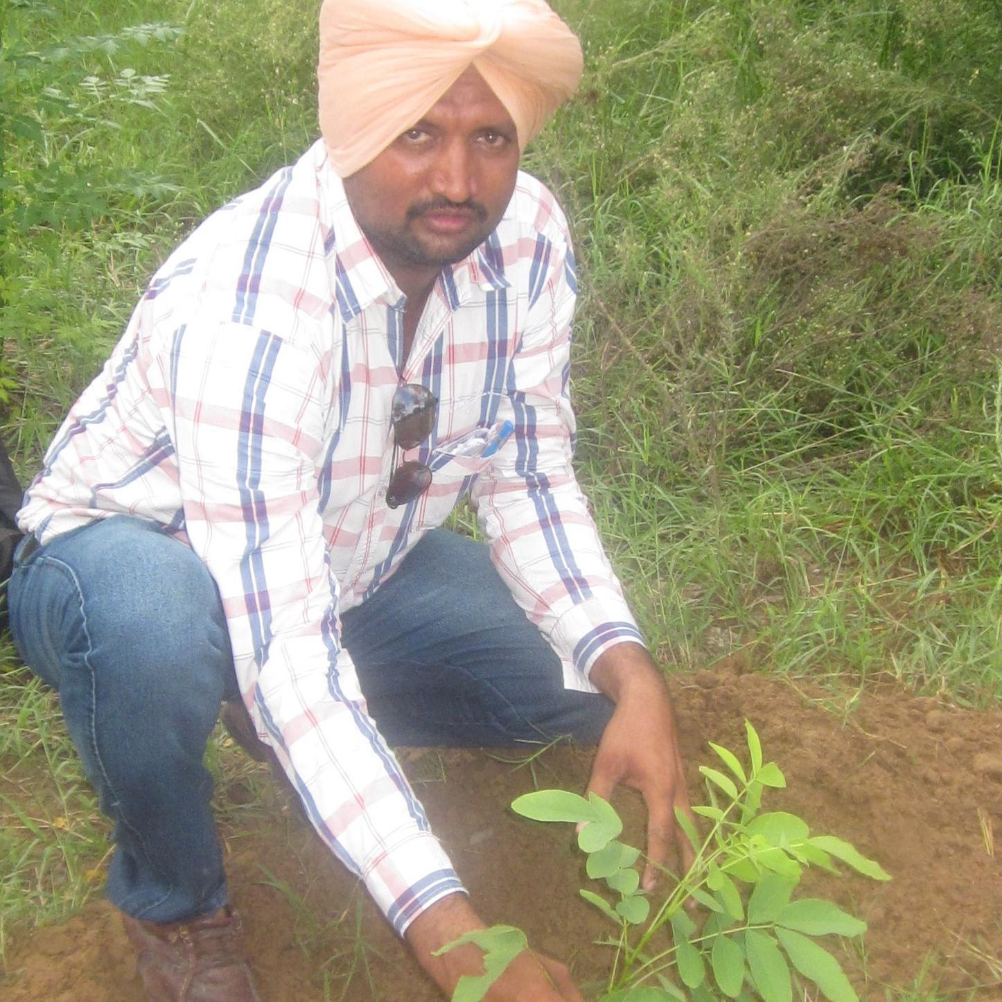 natheha talwandi sabo
